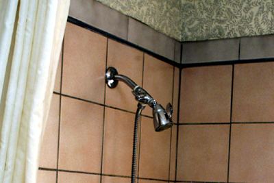 Mold growth on bathroom tile grout