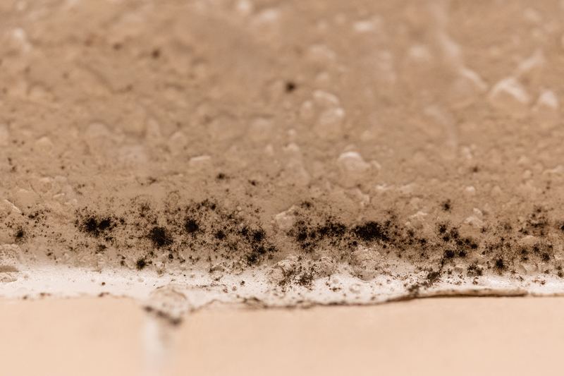 Black mold growth in a bathroom shower enclosure