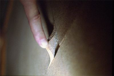 Mold discovered beneath corkboard during inspection